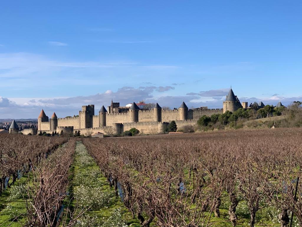 La Cour Carree - Chambres D'Hotes Carcassonne Dış mekan fotoğraf